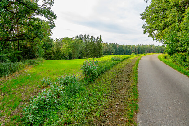 Thumbnail: _JA 40836 Flurstraße, sauber gepflegt.jpg